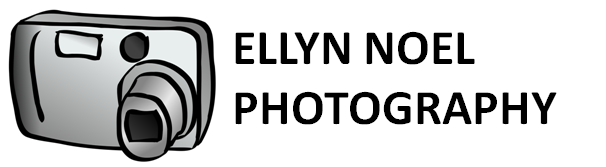 Ellyn Noel Photography